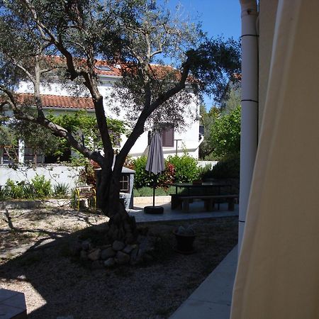 Apartments Olea Пинезичи Экстерьер фото